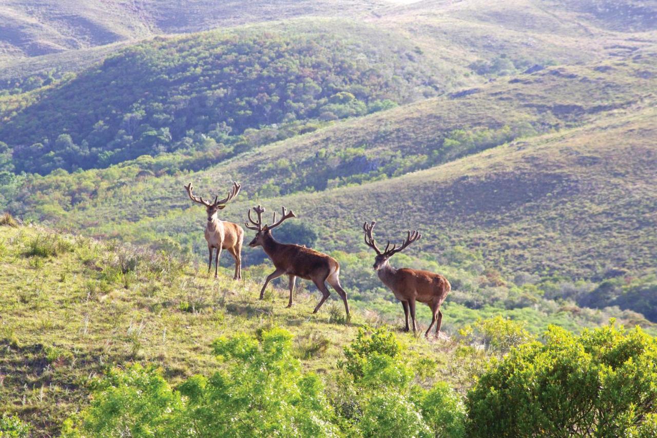 Rincon De Los Matreros Isla Patrulla Екстер'єр фото